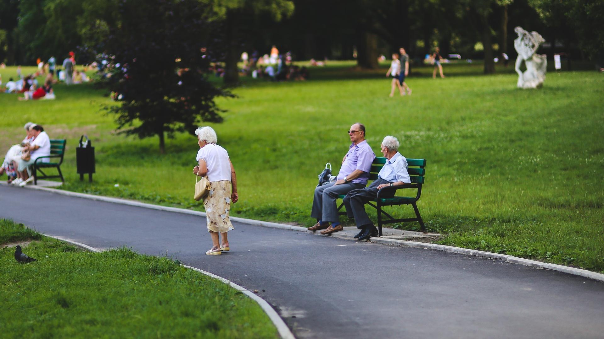 Stimmungsbild zum Beitrag: Es werden ältere Personen im Park abgebildet.