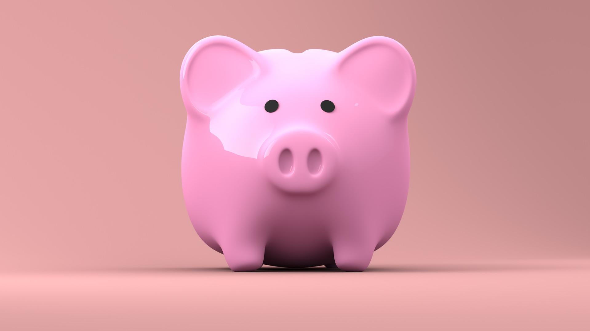 Stimmungsbild zum Beitrag: Es wird ein rosa Sparschwein abgebildet.