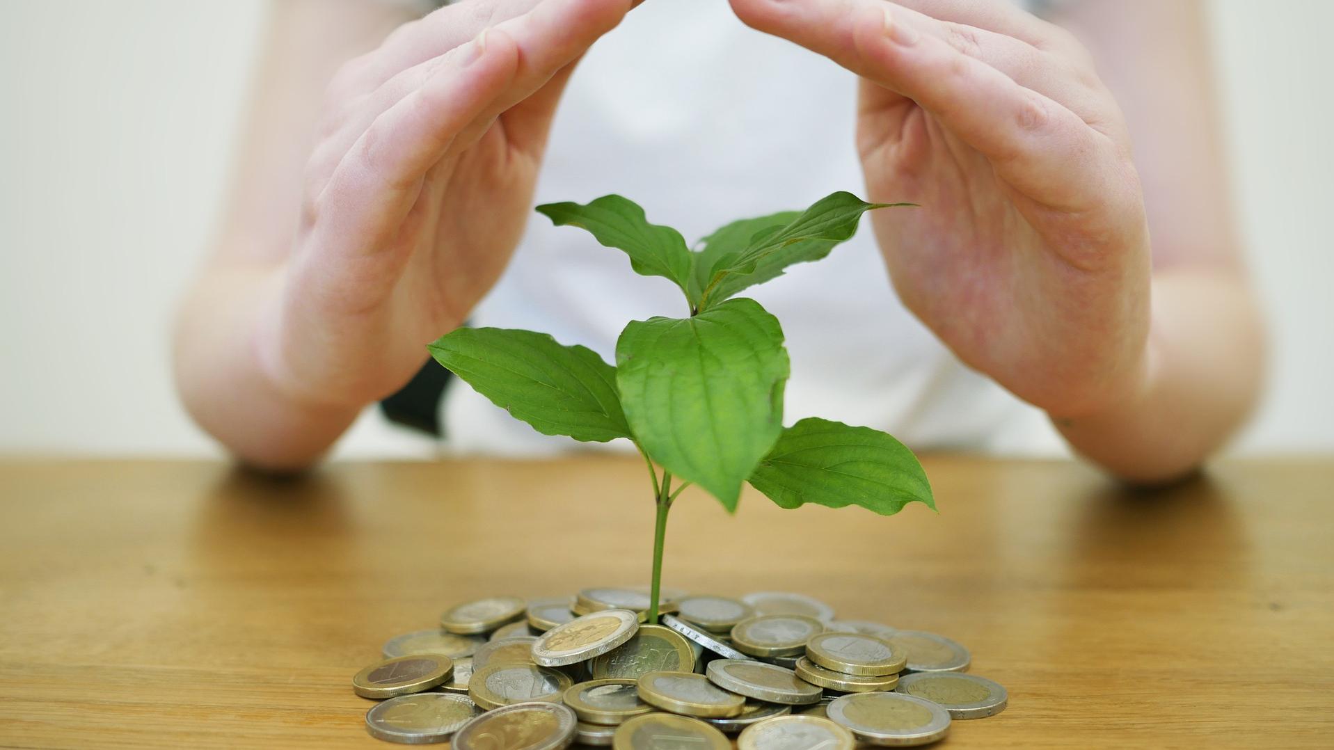 Stimmungsbild zum Beitrag: Es werden Geldmünzen mit einer darauf wachsenden Pflanze abgebildet. Darüber sind schützende Hände gehalten.