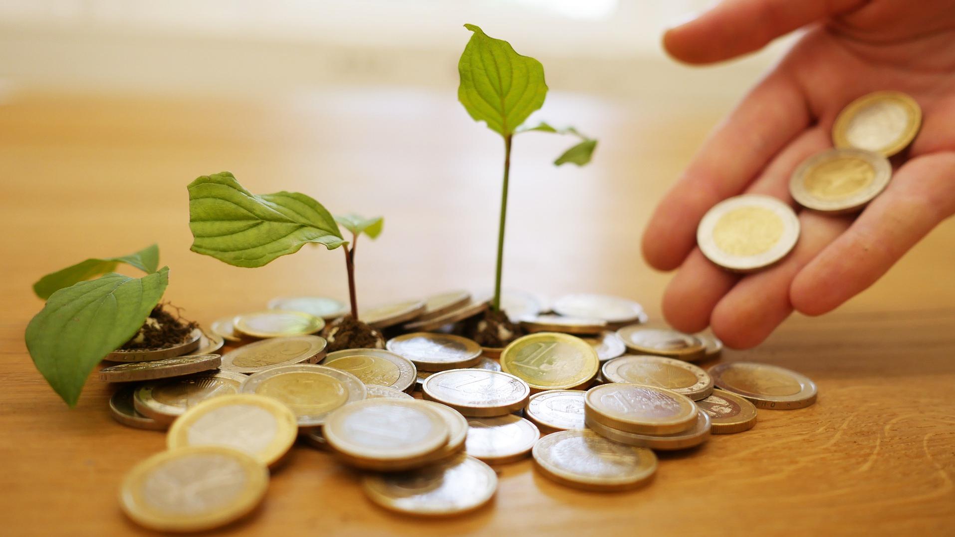 Stimmungsbild zum Beitrag: Es werden Geldmünzen mit kleinen wachsenden Pflanzen abgebildet.