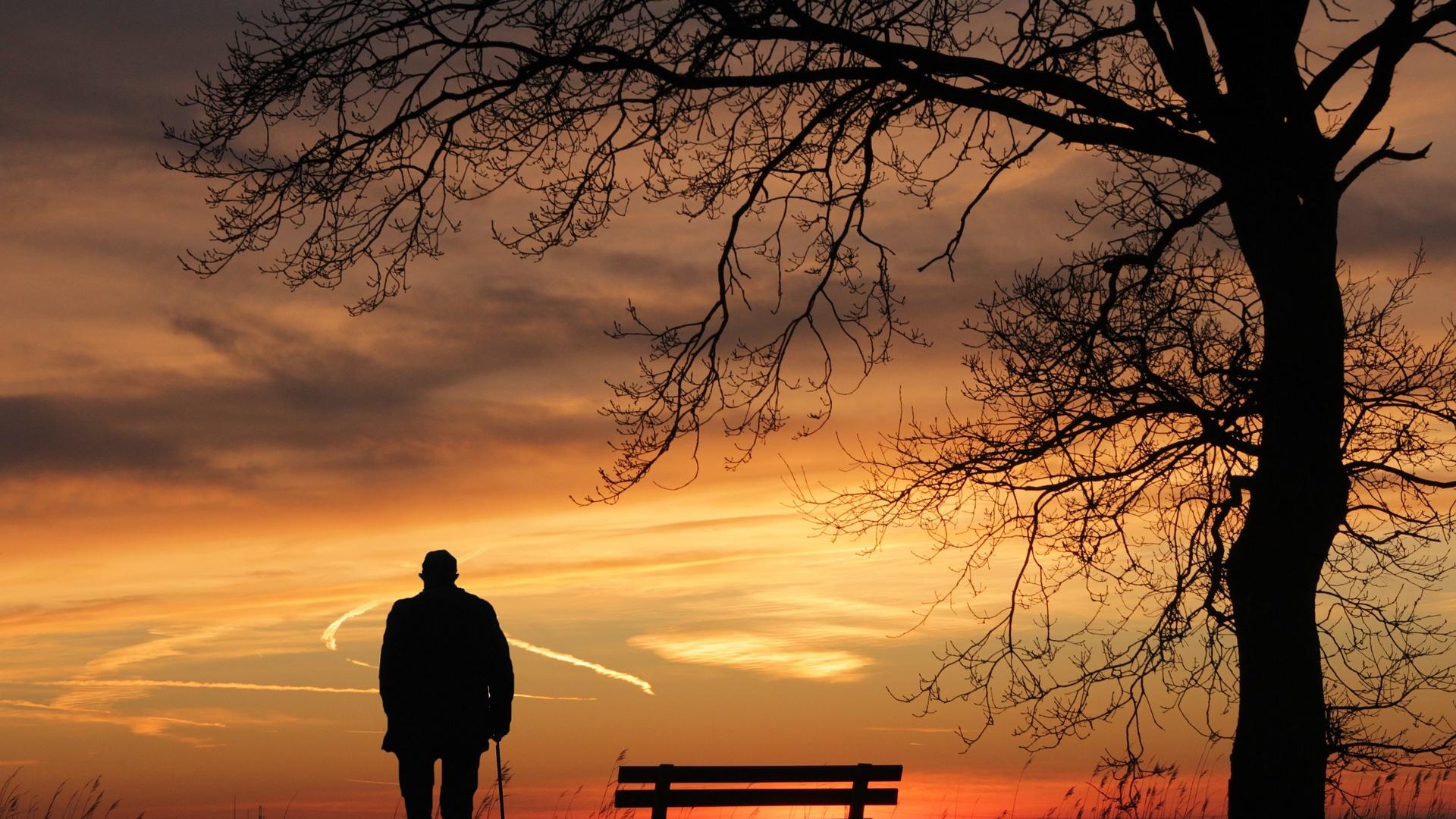 Stimmungsbild zum Beitrag: Es wird ein Mann neben einer Bank unter einem Baum im Sonnenuntergang abgebildet.