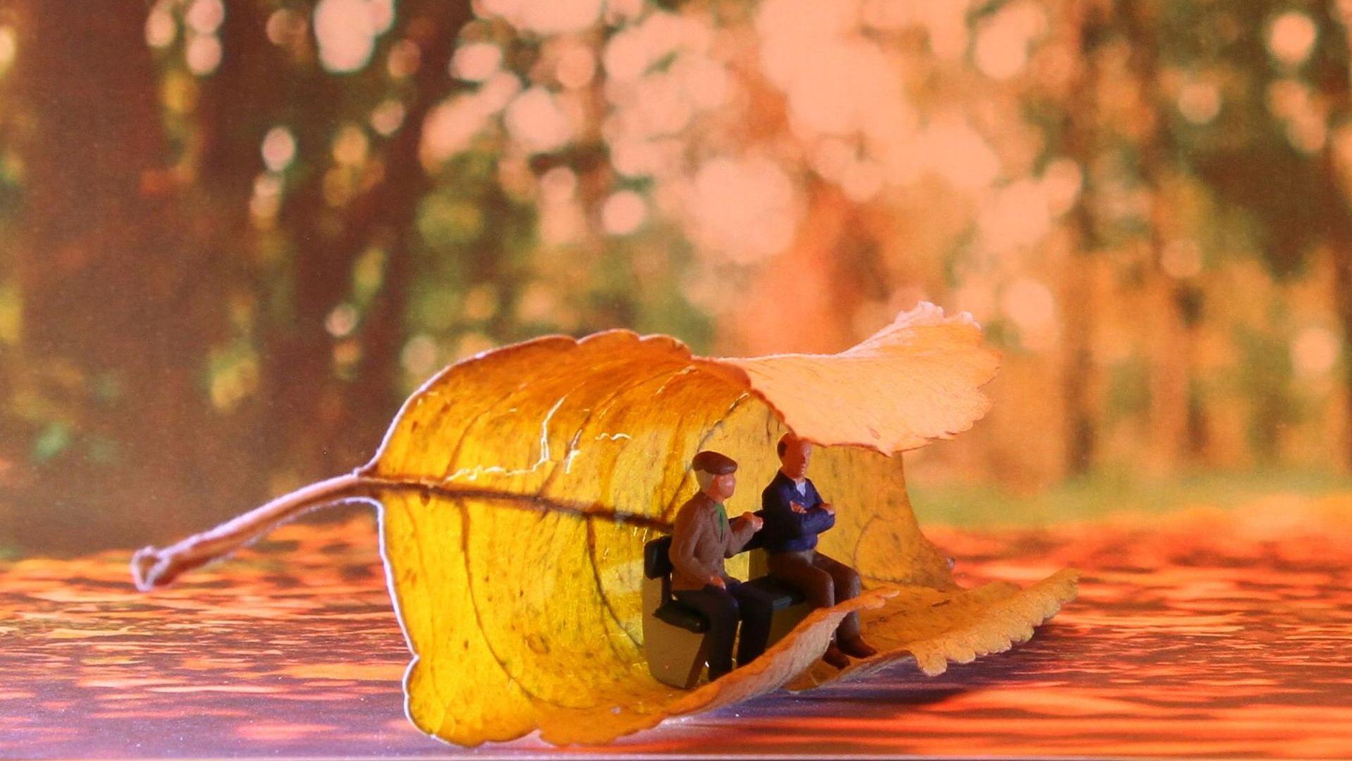 Stimmungsbild zum Beitrag: Es werden Senioren als kleine Figuren sitzend auf einer Bank und eingehüllt in einem Herbstblatt abgebildet.