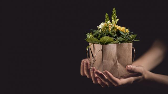 Stimmungsbild vom Beitrag: Ein schwarzer Hintergrund und zwei Hände, die ein Blumengesteck halten sind im Vordergrund.