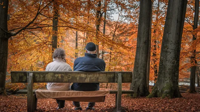 Stimmungsbild zum Beitrag: Es werden zwei Personen auf einer Bank im Wald abgebildet.