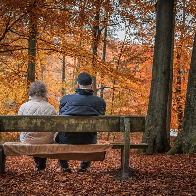 Personen auf einer Bank im Wald
