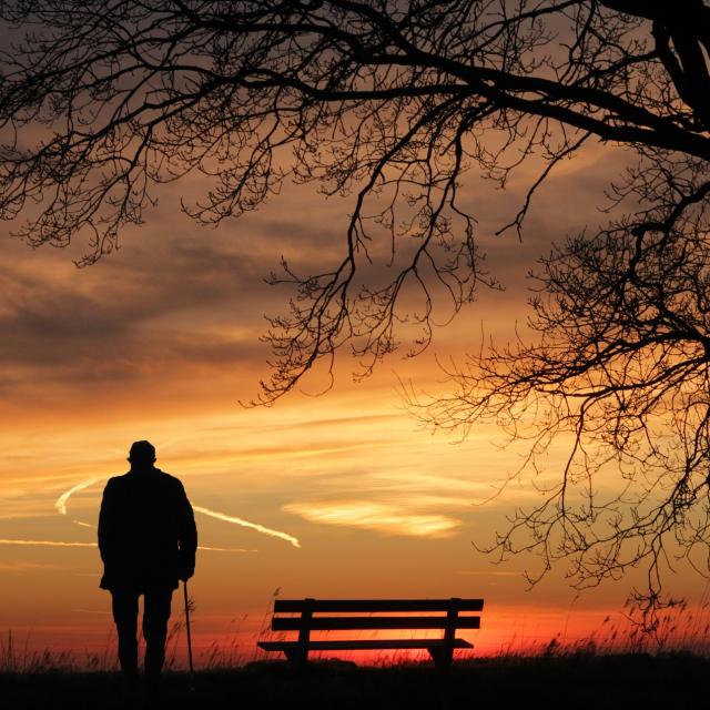 Stimmungsbild zum Beitrag: Es wird ein Mann neben einer Bank unter einem Baum im Sonnenuntergang abgebildet.