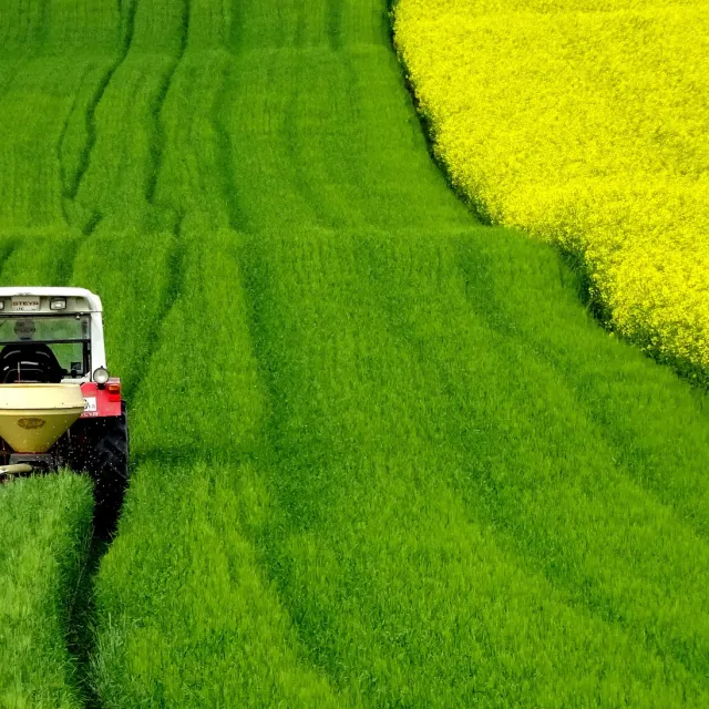 Traktor auf Feld