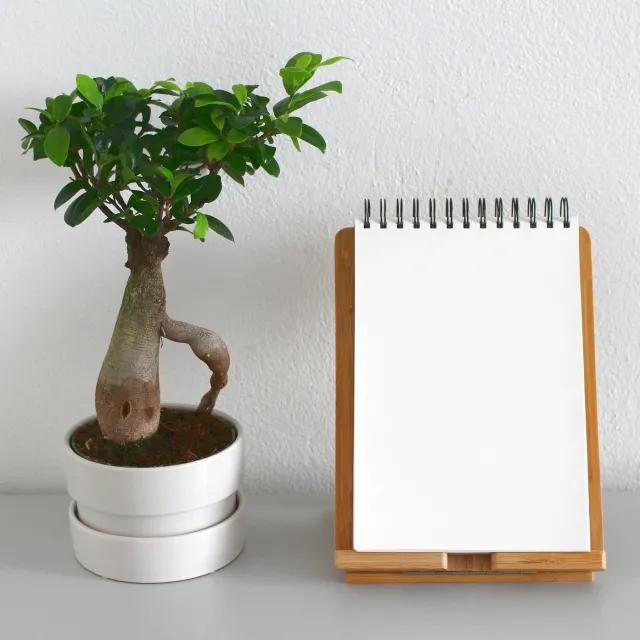Leerer Notizblock auf einem Ständern. Daneben steht ein kleiner Bonsai.